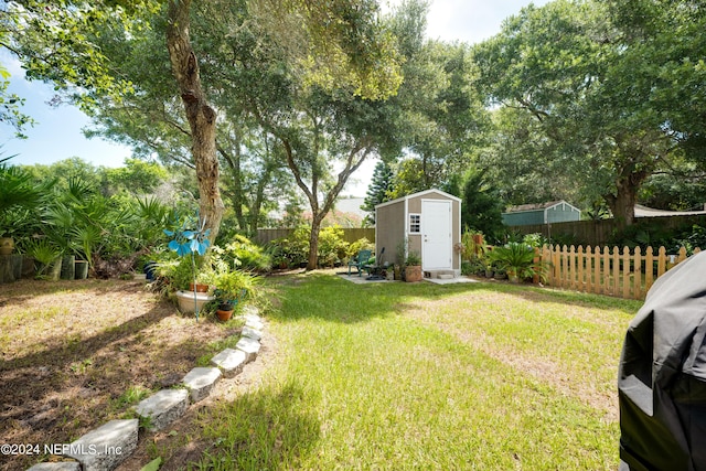 view of yard with an outbuilding, a fenced backyard, and a storage unit