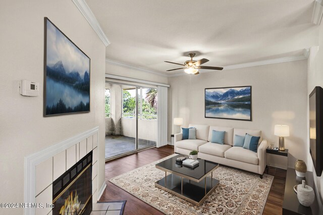 living room featuring crown molding, a fireplace, ceiling fan, and dark wood-type flooring