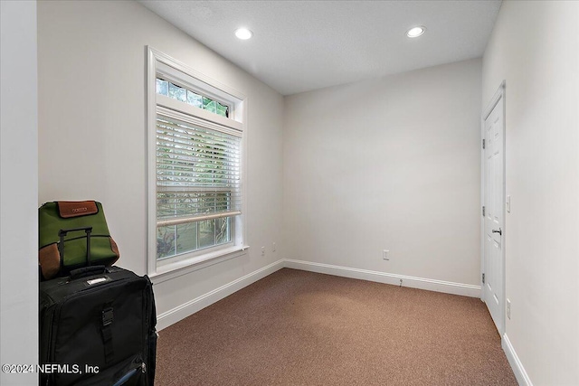 interior space featuring carpet floors