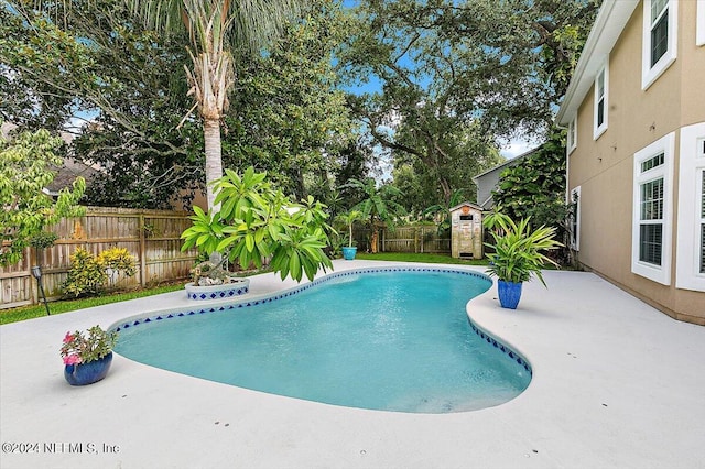 view of swimming pool featuring a patio