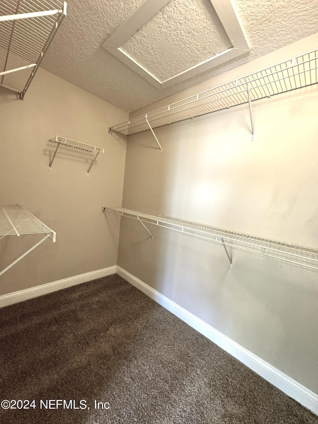 spacious closet with carpet