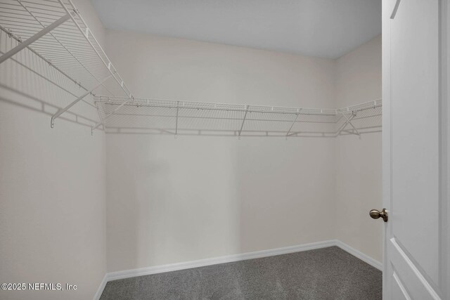 37311 Whisper Way, Hilliard, FL 32046 - spacious closet with carpet