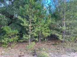 218 Willow Trl, Palatka FL, 32177 land for sale