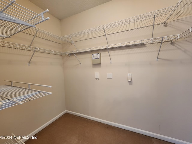 view of spacious closet