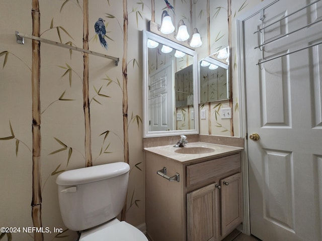 bathroom with toilet and vanity