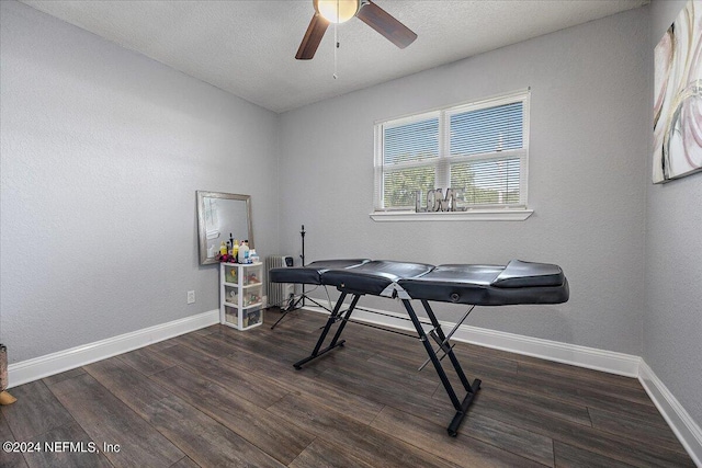 office area featuring dark hardwood / wood-style flooring, radiator heating unit, and ceiling fan