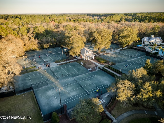 bird's eye view