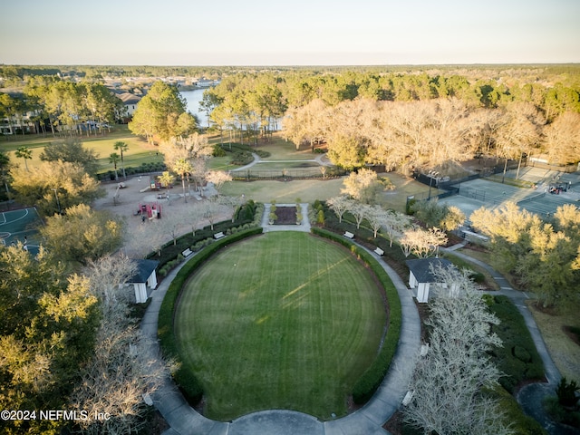 bird's eye view