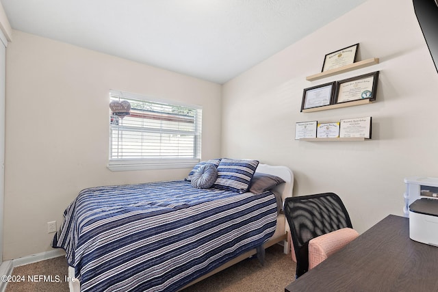 bedroom with carpet