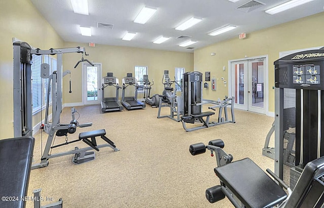 gym featuring french doors