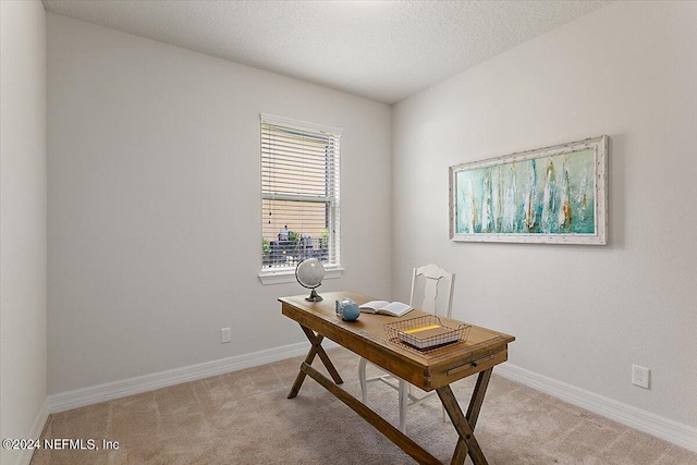 office with light carpet and a textured ceiling