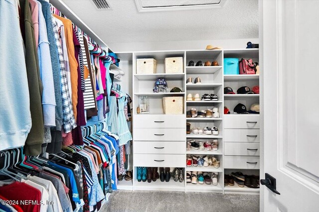 walk in closet with carpet flooring