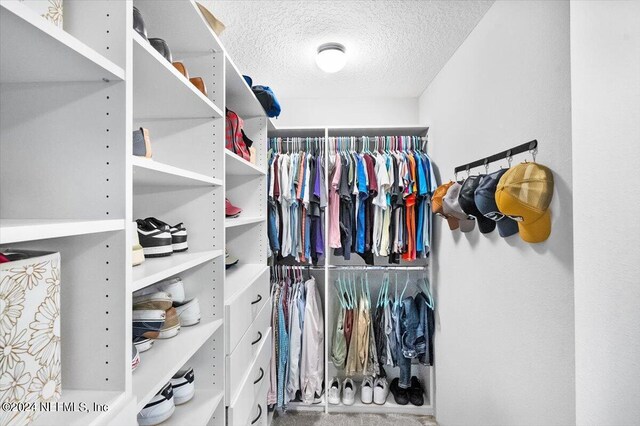 spacious closet with carpet