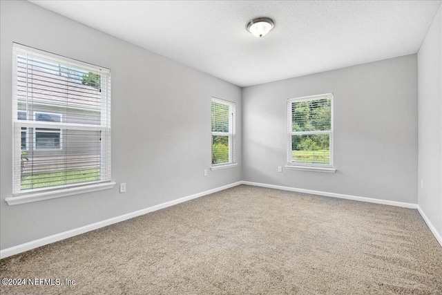 carpeted spare room with a wealth of natural light