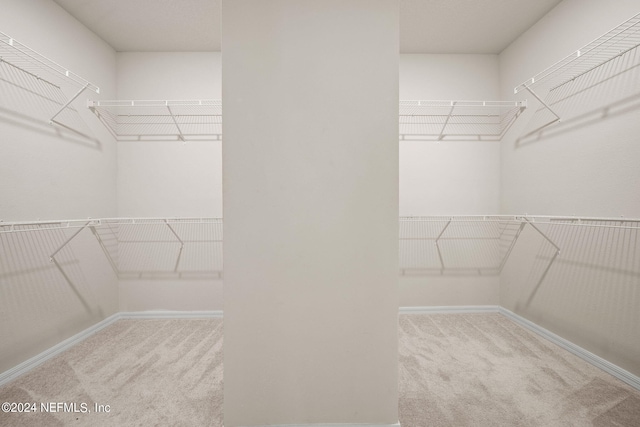 spacious closet featuring light colored carpet