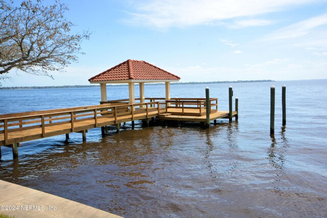 dock area with a water view