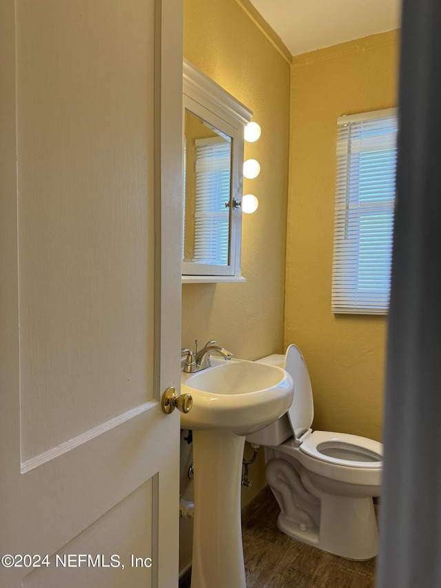 bathroom with toilet and wood-type flooring