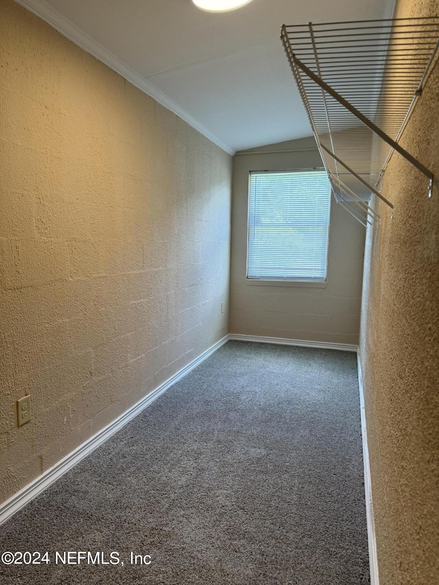 interior space with carpet and lofted ceiling