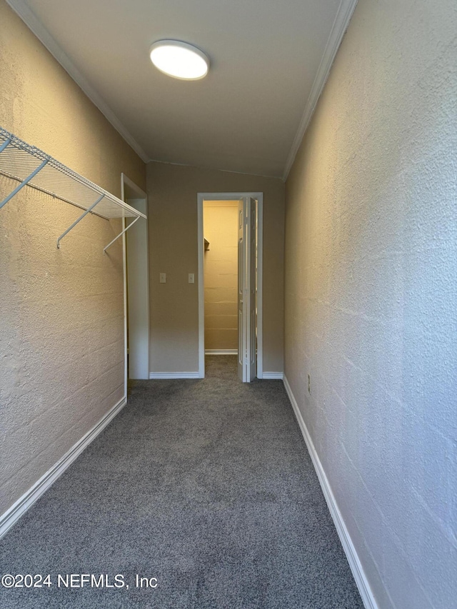 spacious closet featuring carpet flooring