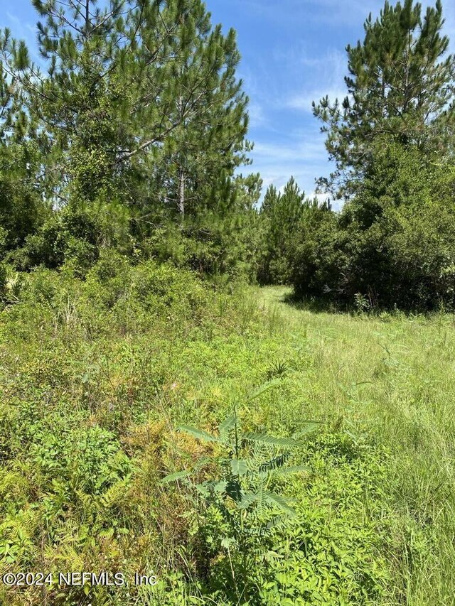 550 W River Rd, Palatka FL, 32177 land for sale