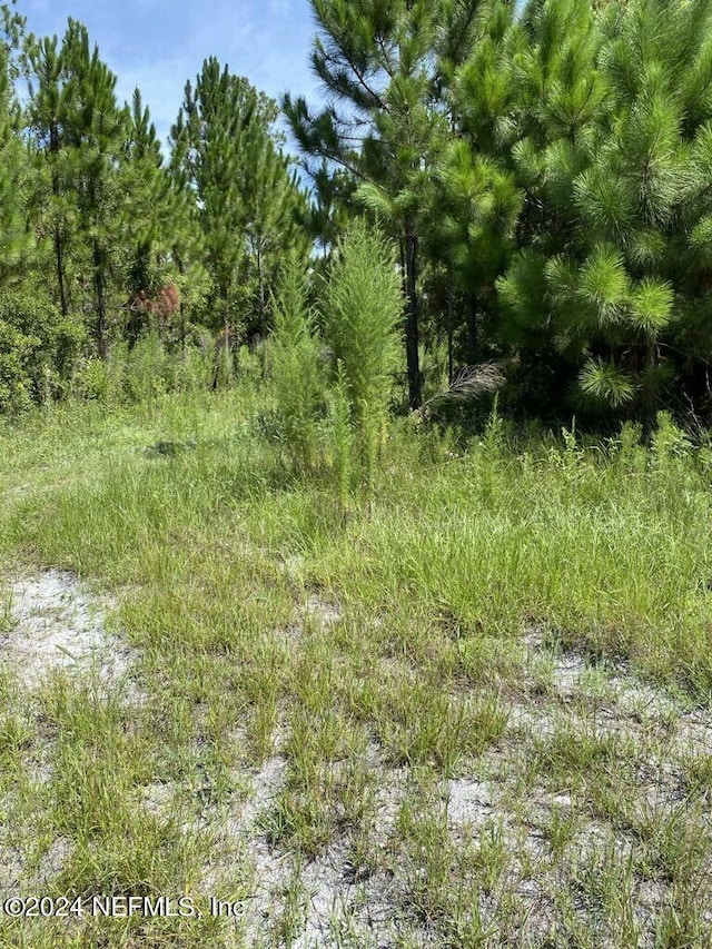 Listing photo 3 for 550 W River Rd, Palatka FL 32177