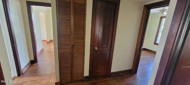 corridor featuring hardwood / wood-style floors