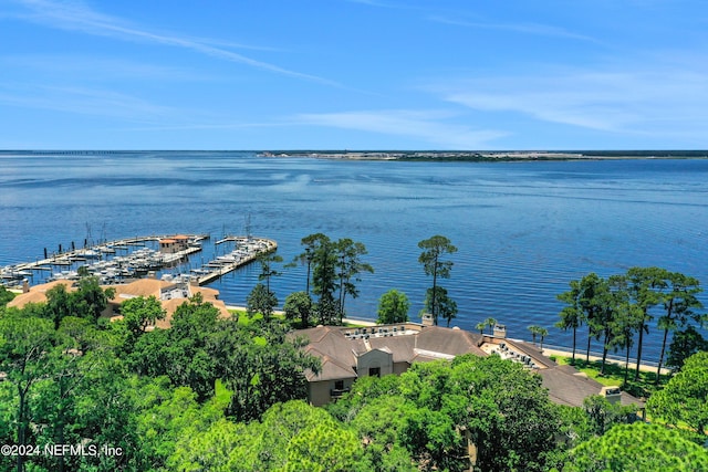 aerial view with a water view