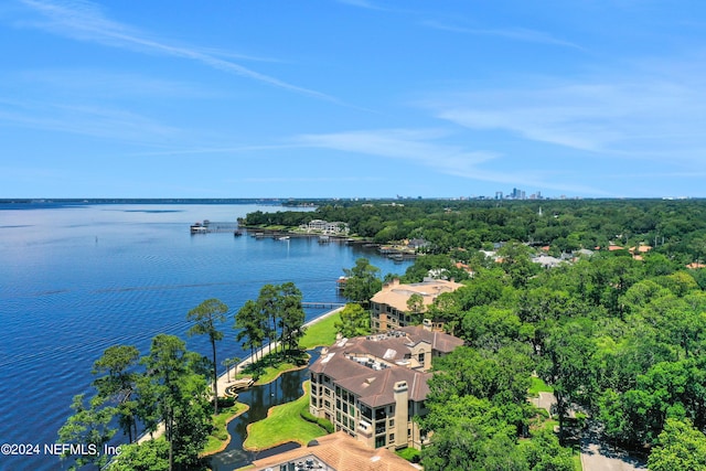 bird's eye view featuring a water view