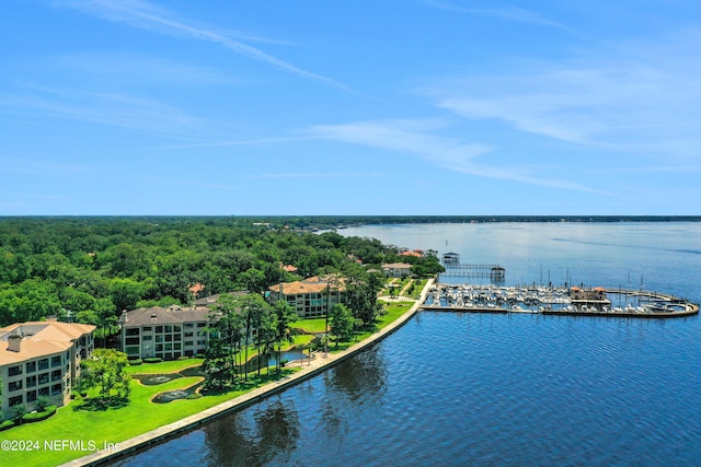 aerial view featuring a water view