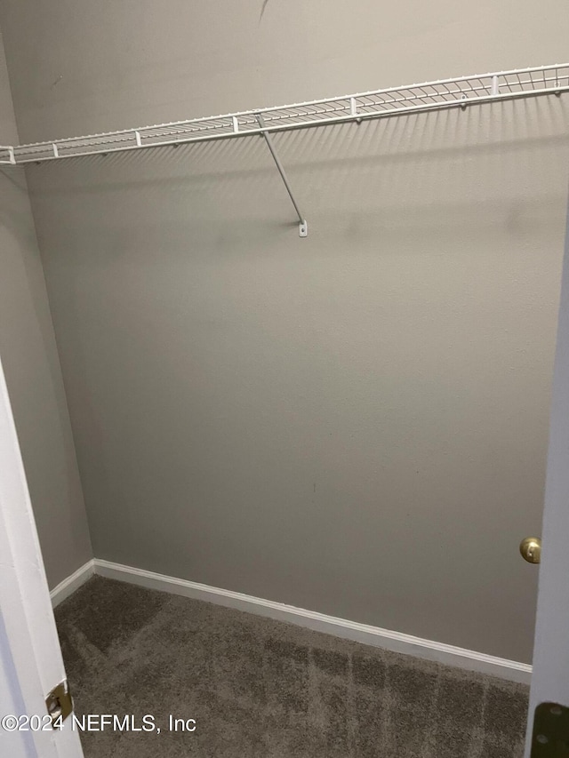 walk in closet featuring carpet flooring