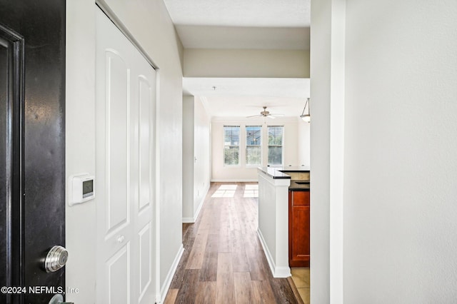 hall featuring dark wood finished floors and baseboards