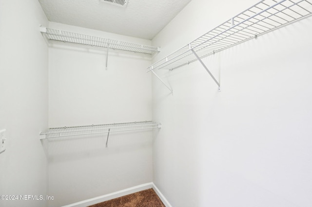 spacious closet featuring carpet