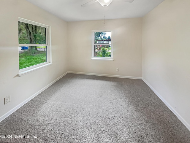 empty room with ceiling fan, a wealth of natural light, and carpet flooring