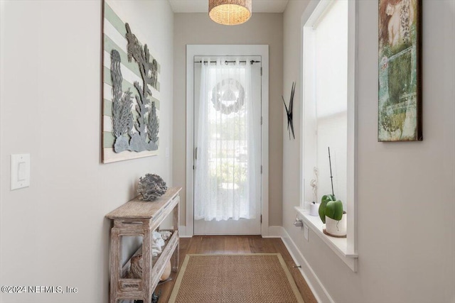 foyer with wood-type flooring