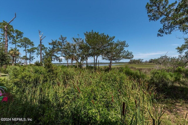 view of nature