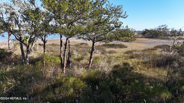 view of nature featuring a rural view