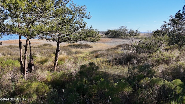 view of nature with a rural view