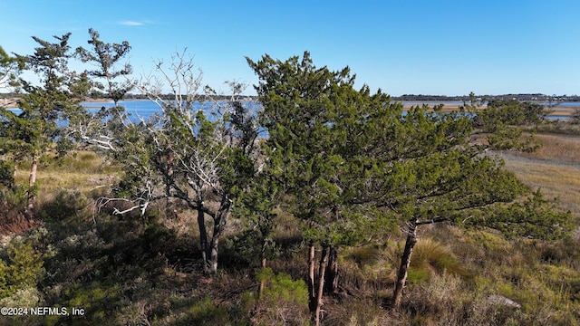 view of landscape