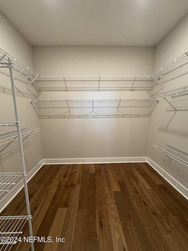 walk in closet featuring wood-type flooring