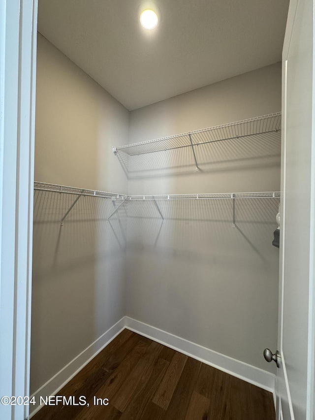 spacious closet featuring hardwood / wood-style flooring