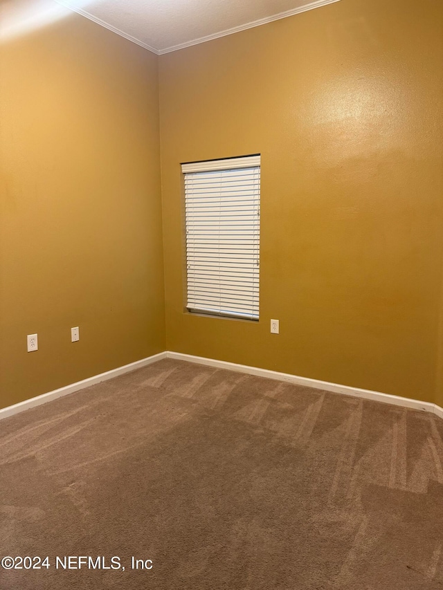 empty room featuring crown molding and carpet floors