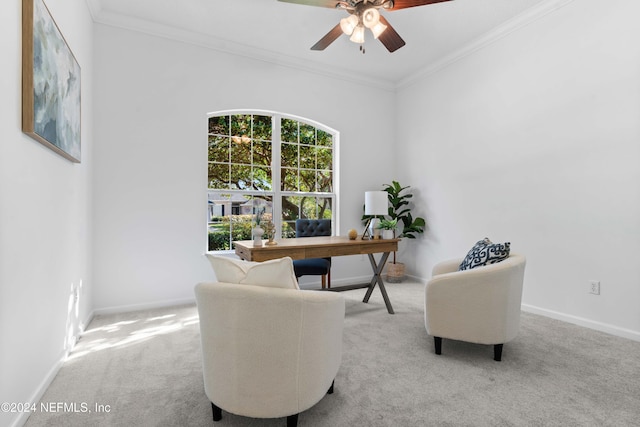 carpeted office with crown molding and ceiling fan