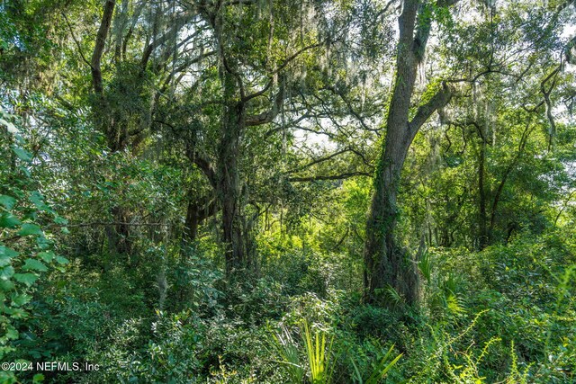 0 Atlantic Ave, Fernandina Beach, FL 32034