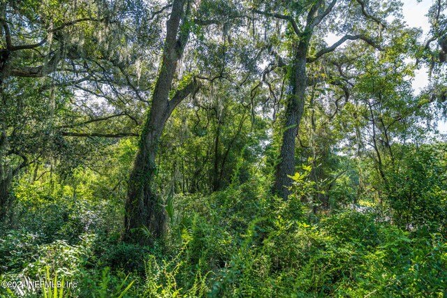 0 Atlantic Ave, Fernandina Beach, FL 32034