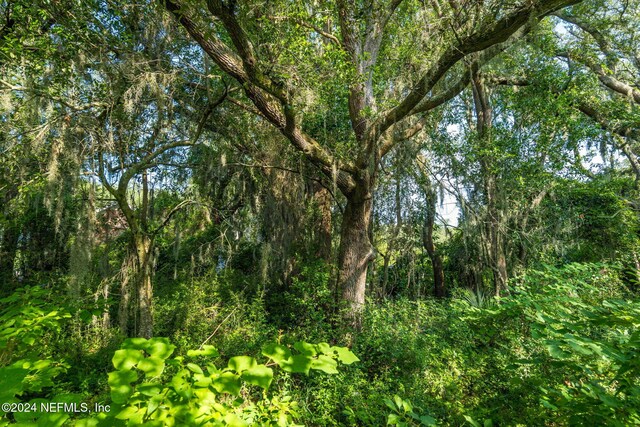 0 Atlantic Ave, Fernandina Beach, FL 32034