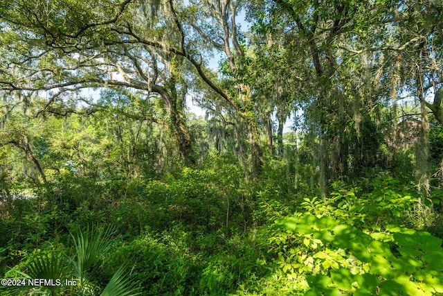 0 Atlantic Ave, Fernandina Beach, FL 32034