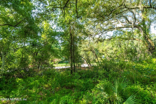 0 Atlantic Ave, Fernandina Beach, FL 32034