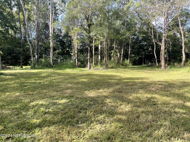 0 Sunrise Farms Rd, Middleburg FL, 32068 land for sale