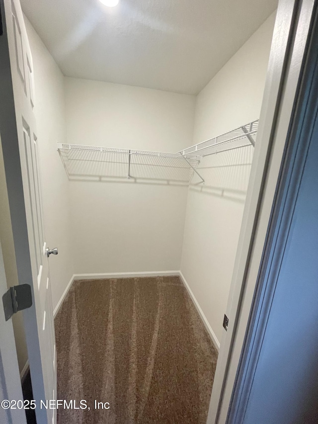 spacious closet with carpet