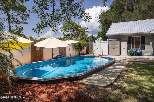 view of pool with a patio and a shed